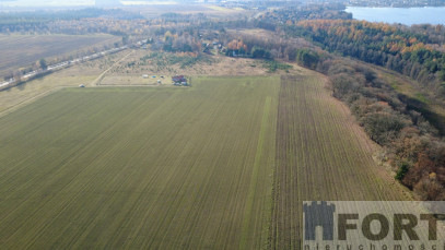 Działka Sprzedaż Storkowo