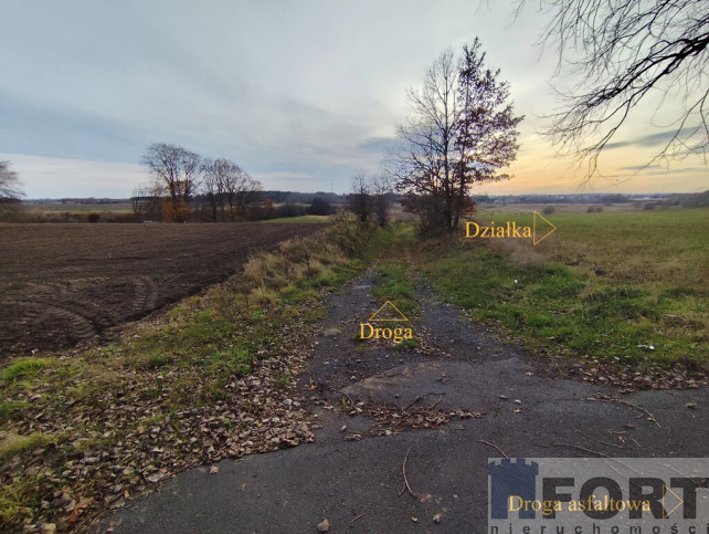 Działka Sprzedaż Wojcieszyn 8