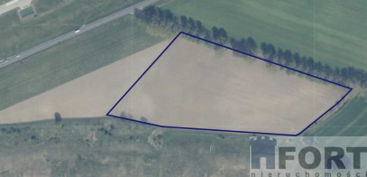 Działka Sprzedaż Wojcieszyn