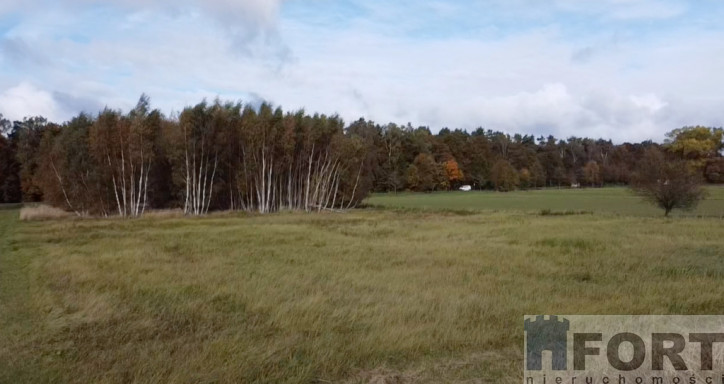 Działka Sprzedaż Chrząstowo 1