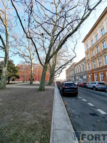 Lokal Wynajem Szczecin Nowe Miasto 10