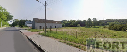 Działka Sprzedaż Recz Leśna
