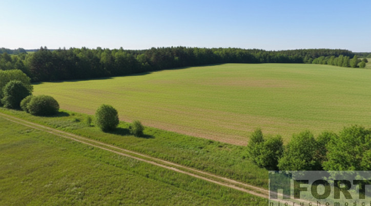 Działka Sprzedaż Krzemień 5