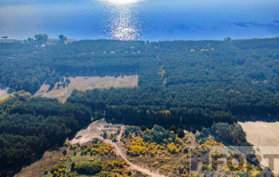 Działka Sprzedaż Dargobądz