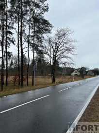 Działka Sprzedaż Brzózki