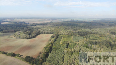 Działka Sprzedaż Rów