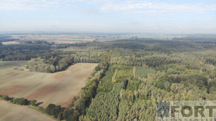 Działka Sprzedaż Rów 1