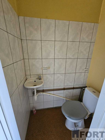 Lokal Wynajem Szczecin Centrum 8