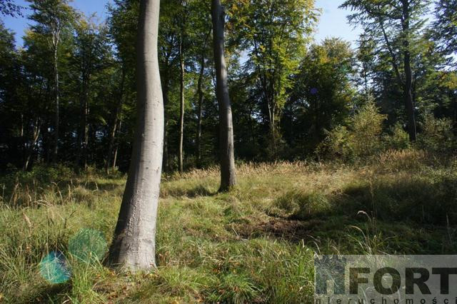 Działka Sprzedaż Dobra 3