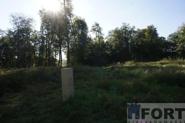 Działka Sprzedaż Dobra 6