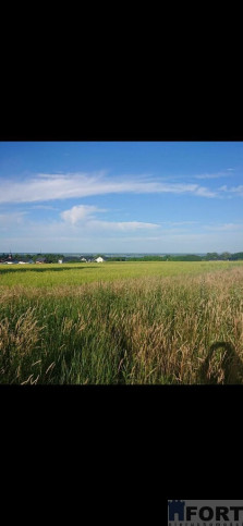 Działka Sprzedaż Szczecin Skolwin Inwalidzka 1