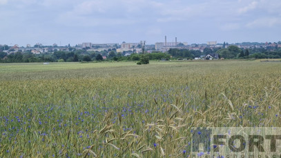 Działka Sprzedaż Stargard