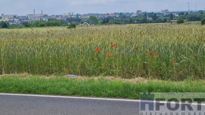 Działka Sprzedaż Stargard