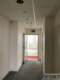 Lokal Wynajem Szczecin Centrum