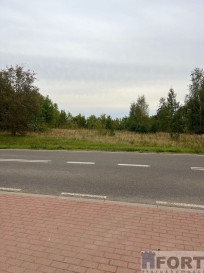 Działka Sprzedaż Storkowo