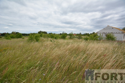 Działka Sprzedaż Wąwelnica