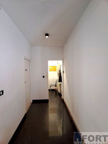 Lokal Wynajem Szczecin Centrum 11