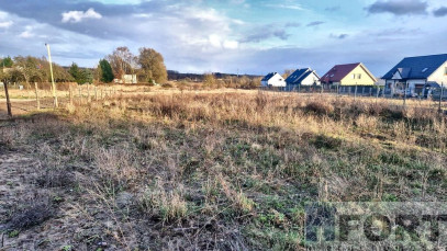 Działka Sprzedaż Gryfino