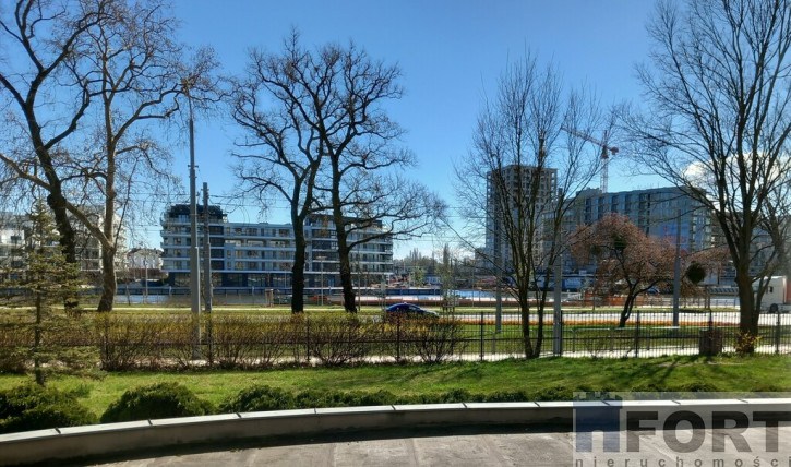 Lokal Wynajem Szczecin Śródmieście 3