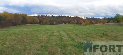 Działka Sprzedaż Steklno