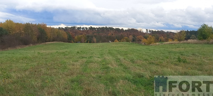 Działka Sprzedaż Steklno 2