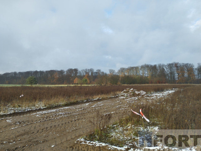 Działka Sprzedaż Dobropole Gryfińskie 5