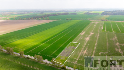 Działka Sprzedaż Pyrzyce
