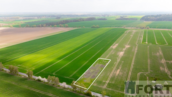 Działka Sprzedaż Pyrzyce 4