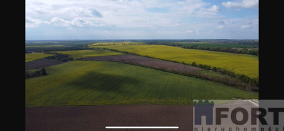Działka Sprzedaż Pyrzyce
