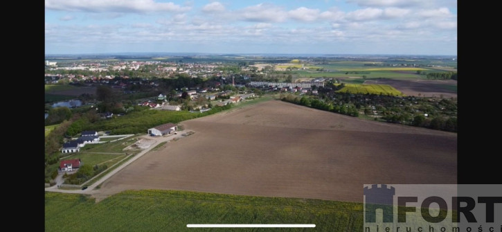 Działka Sprzedaż Pyrzyce 6