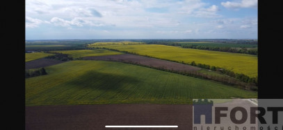 Działka Sprzedaż Pyrzyce