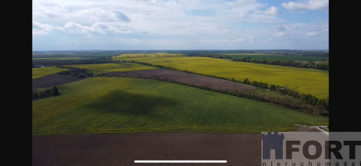 Działka Sprzedaż Pyrzyce 3