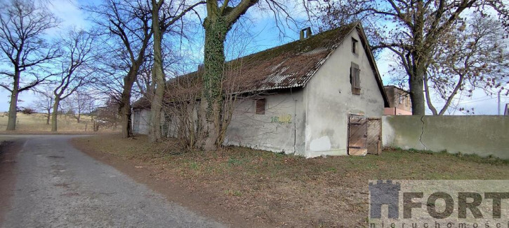 Obiekt Sprzedaż Budno 4