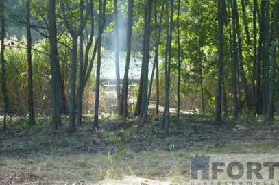 Działka Sprzedaż Zieleniewo