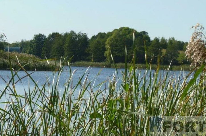 Działka Sprzedaż Zieleniewo 6