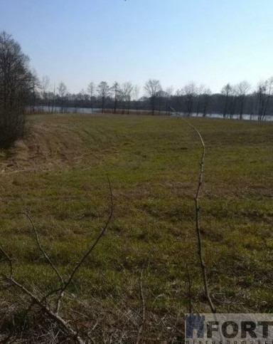 Działka Sprzedaż Kaszewo 4