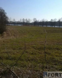 Działka Sprzedaż Kaszewo