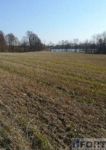 Działka Sprzedaż Kaszewo 3