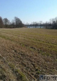Działka Sprzedaż Kaszewo