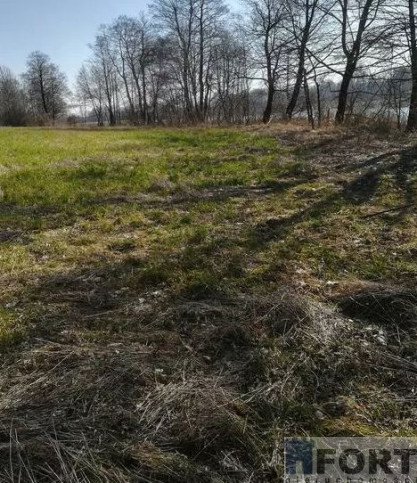 Działka Sprzedaż Kaszewo 6