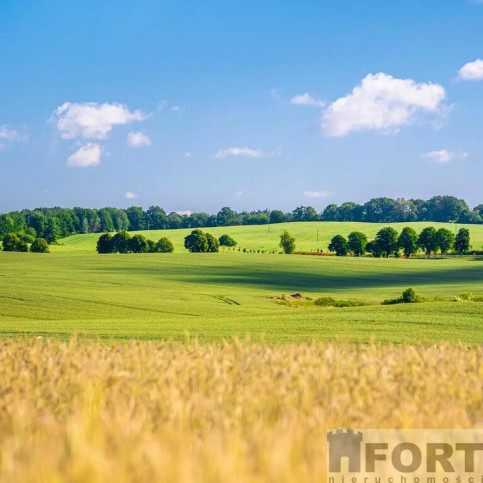 Działka Sprzedaż Przemocze 2