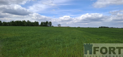 Działka Sprzedaż Bagna