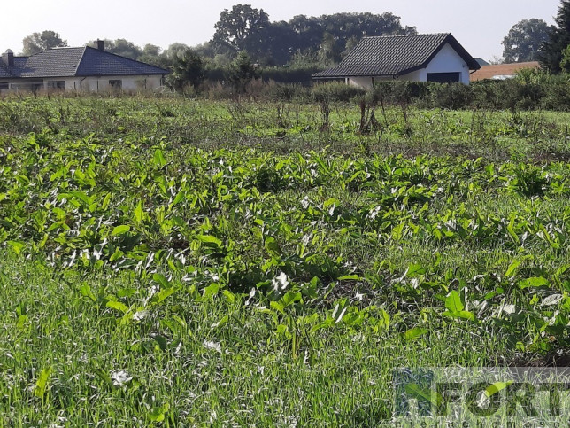 Działka Sprzedaż Kurów Na Klifie 4