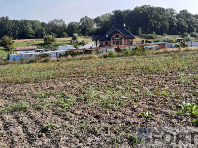 Działka Sprzedaż Kurów Na Klifie 10
