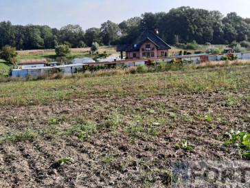 Działka Sprzedaż Kurów Na Klifie