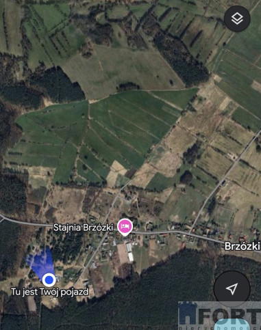 Działka Sprzedaż Brzózki 12