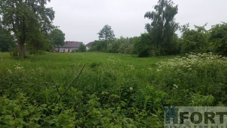 Działka Sprzedaż Binowo 5