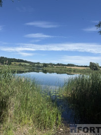 Działka Wynajem Binowo