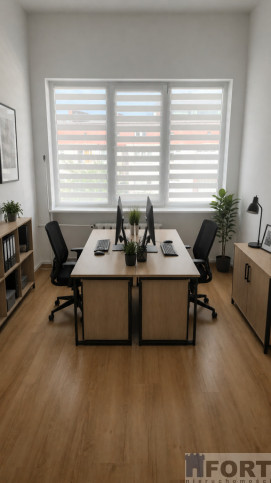 Lokal Wynajem Szczecin Śródmieście 3
