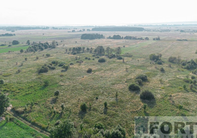 Działka Sprzedaż Rurzyca